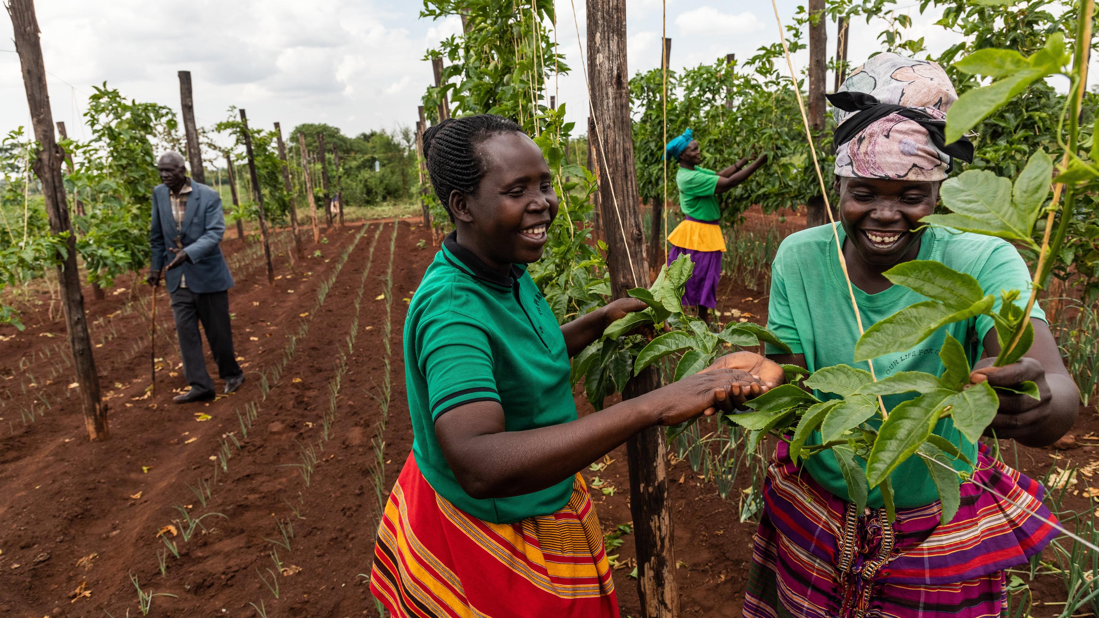 Female farmers