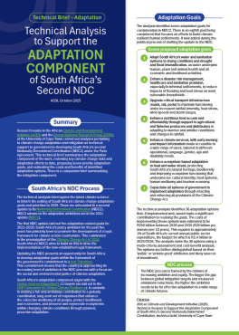 second NDC summary cover