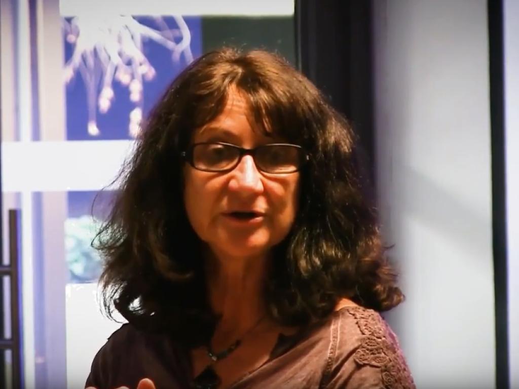 ACDI Deputy Director Sheona Shackleton acdi deputy director sheona shackleton