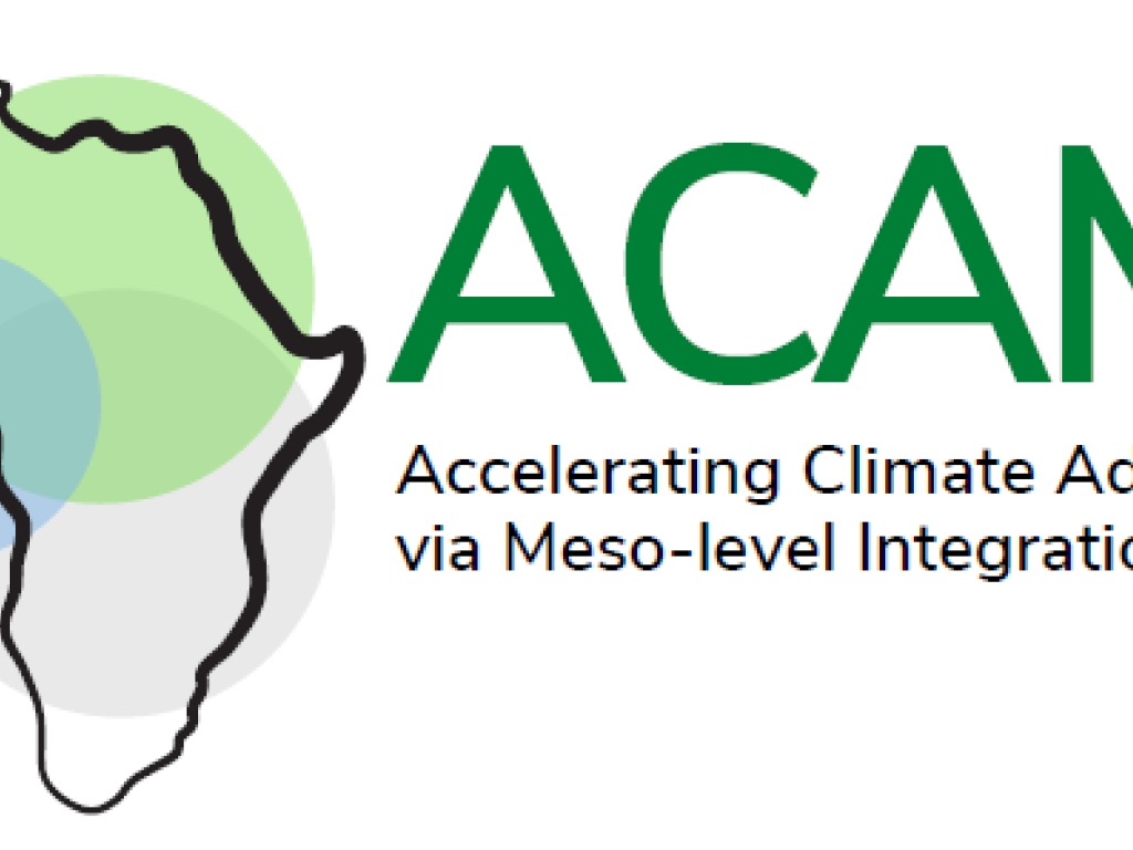 ACAMI logo