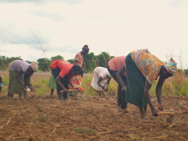 Female farmer in Ghana